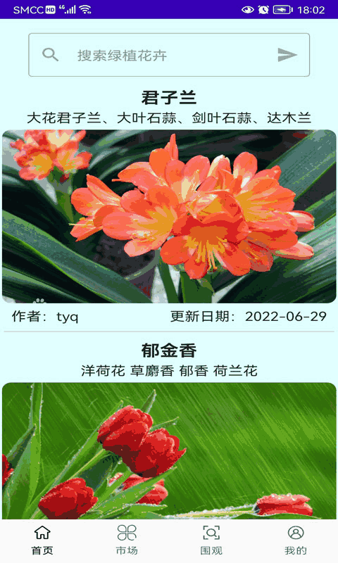 绿植花卉